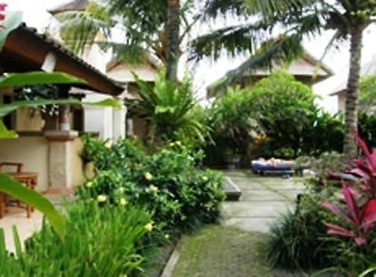 Padi Prada Ubud Стая снимка